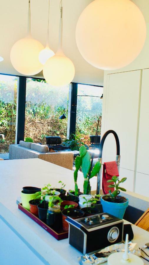 Villa Oasis de Caudéran à Bordeaux Extérieur photo